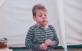 Ty Llewelyn Glamping & Camping